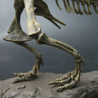 Figurine Dinosaure: Dinosaure Squelette Eoraptor