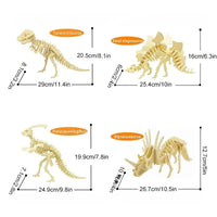 Maquette Dinosaure: Maquette dinosaure à construire