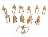 Maquette Dinosaure: Maquette squelette dinosaure