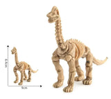 Maquette Dinosaure: Maquette squelette dinosaure