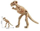 Maquette Dinosaure: Maquette squelette dinosaure