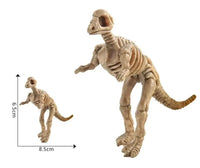 Maquette Dinosaure: Maquette squelette dinosaure