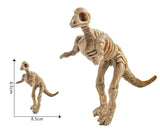 Maquette Dinosaure: Maquette squelette dinosaure