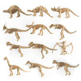 Maquette Dinosaure: Maquette squelette dinosaure