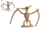 Maquette Dinosaure: Maquette squelette dinosaure