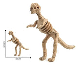 Maquette Dinosaure: Maquette squelette dinosaure