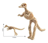Maquette Dinosaure: Maquette squelette dinosaure