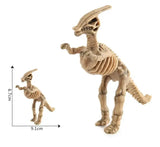 Maquette Dinosaure: Maquette squelette dinosaure