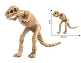 Maquette Dinosaure: Maquette squelette dinosaure