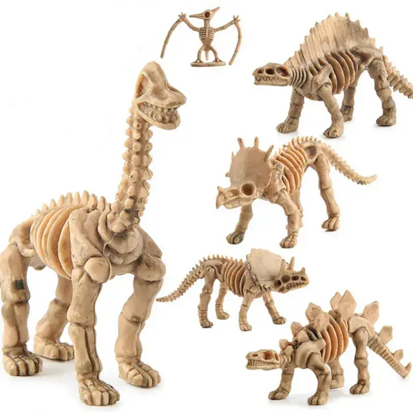 Maquette Dinosaure: Maquette squelette dinosaure