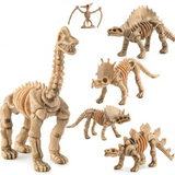 Maquette Dinosaure: Maquette squelette dinosaure