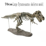 Maquette Dinosaure: Maquette squelette tyrannosaure