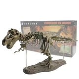 Maquette Dinosaure: Maquette squelette tyrannosaure